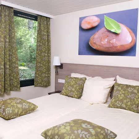 Отель Center Parcs Bispinger Lueneburger Heide Биспинген