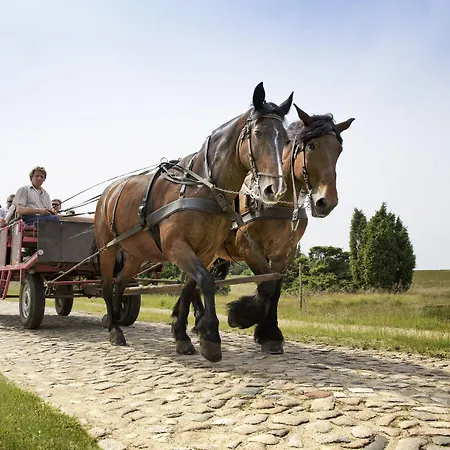 Center Parcs Bispinger Lueneburger Heide