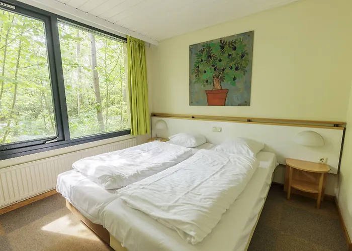 Center Parcs Bispinger Lüneburger Heide 4*