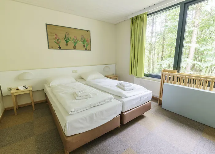 Center Parcs Bispinger Lüneburger Heide 4*