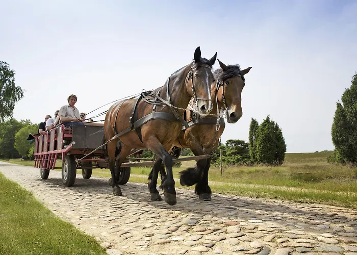 Center Parcs Bispinger Lueneburger Heide