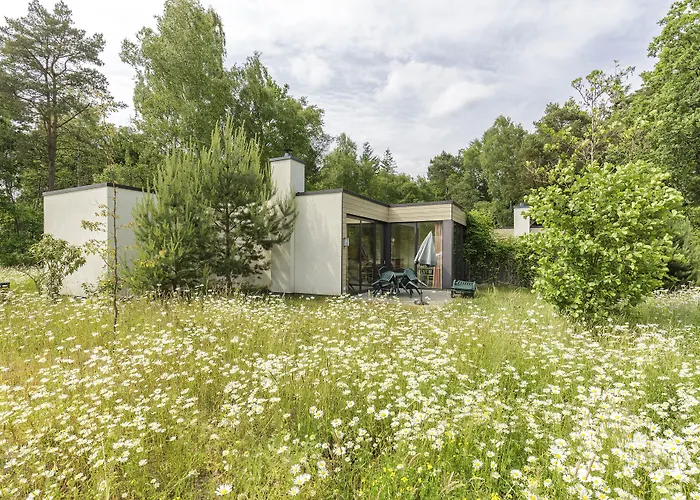 Center Parcs Bispinger Lueneburger Heide 4*